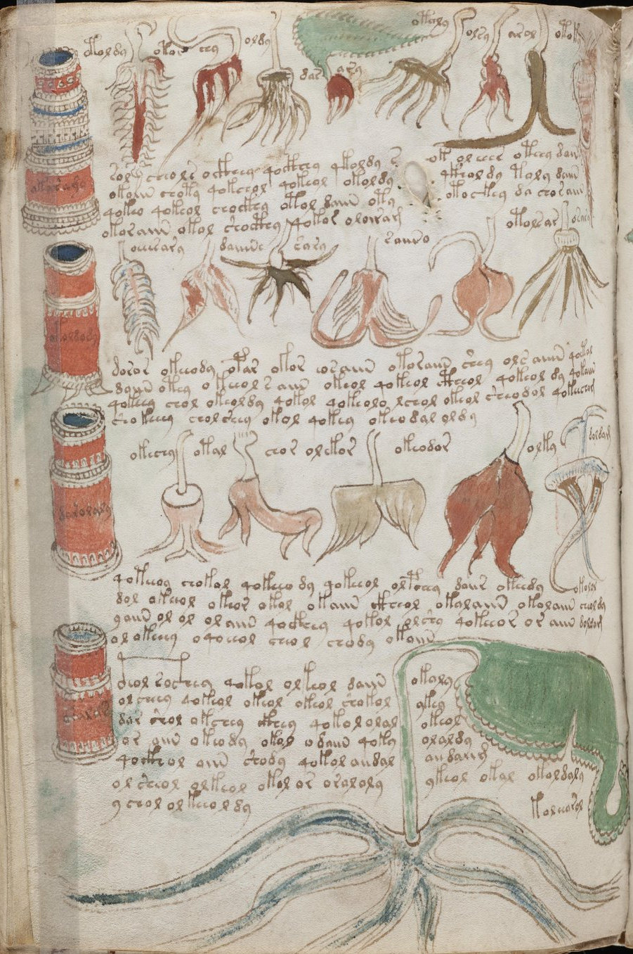 Voynich Manuscript Folio